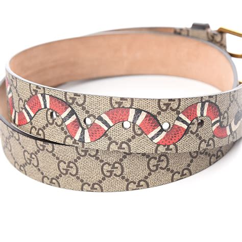 gucci supreme belt with kingsnake print|gg Gucci belt sale.